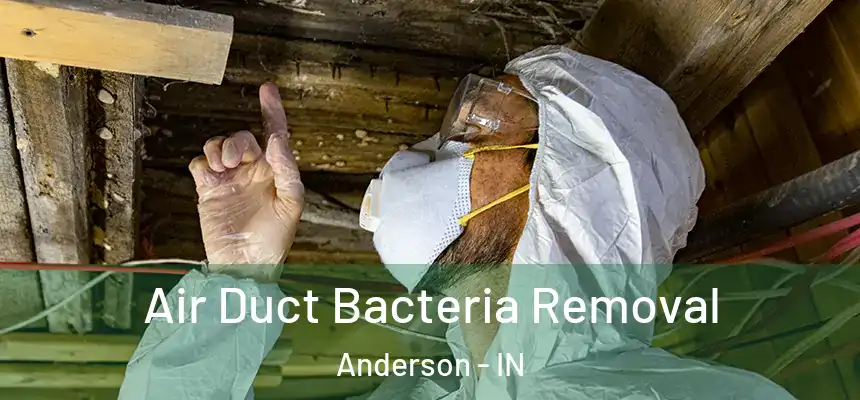  Air Duct Bacteria Removal Anderson - IN