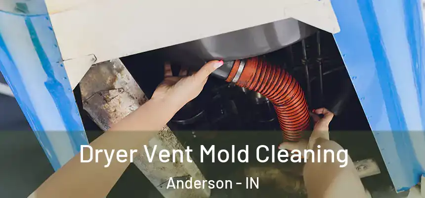  Dryer Vent Mold Cleaning Anderson - IN