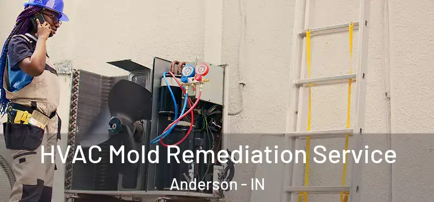  HVAC Mold Remediation Service Anderson - IN