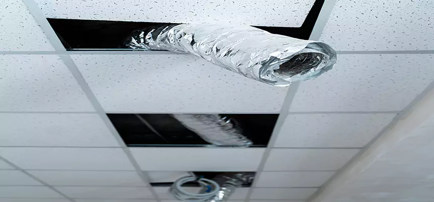 Our Air Duct Pet Hair Removal Services in Anderson, IN