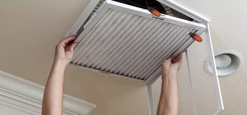 Our Insect Removal from Air Ducts Services in Anderson, IN