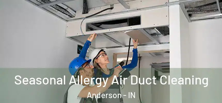  Seasonal Allergy Air Duct Cleaning Anderson - IN